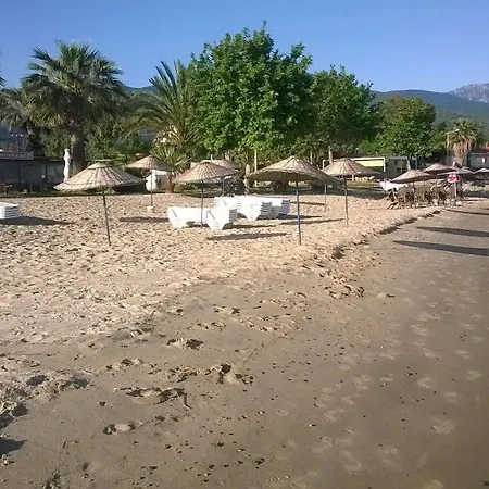 Отель Holiday