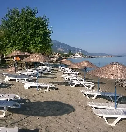 Holiday