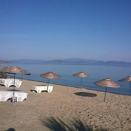 Holiday