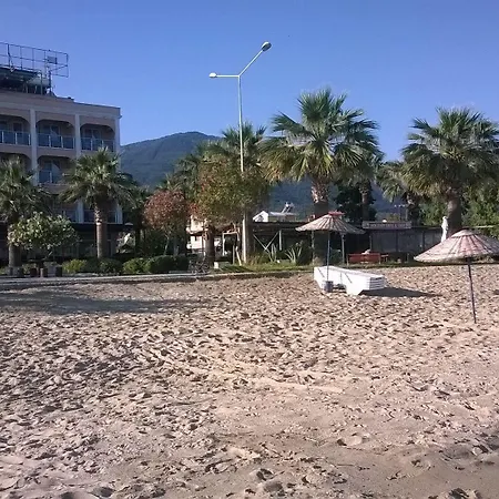 Holiday